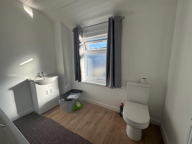 Toilet.jpg