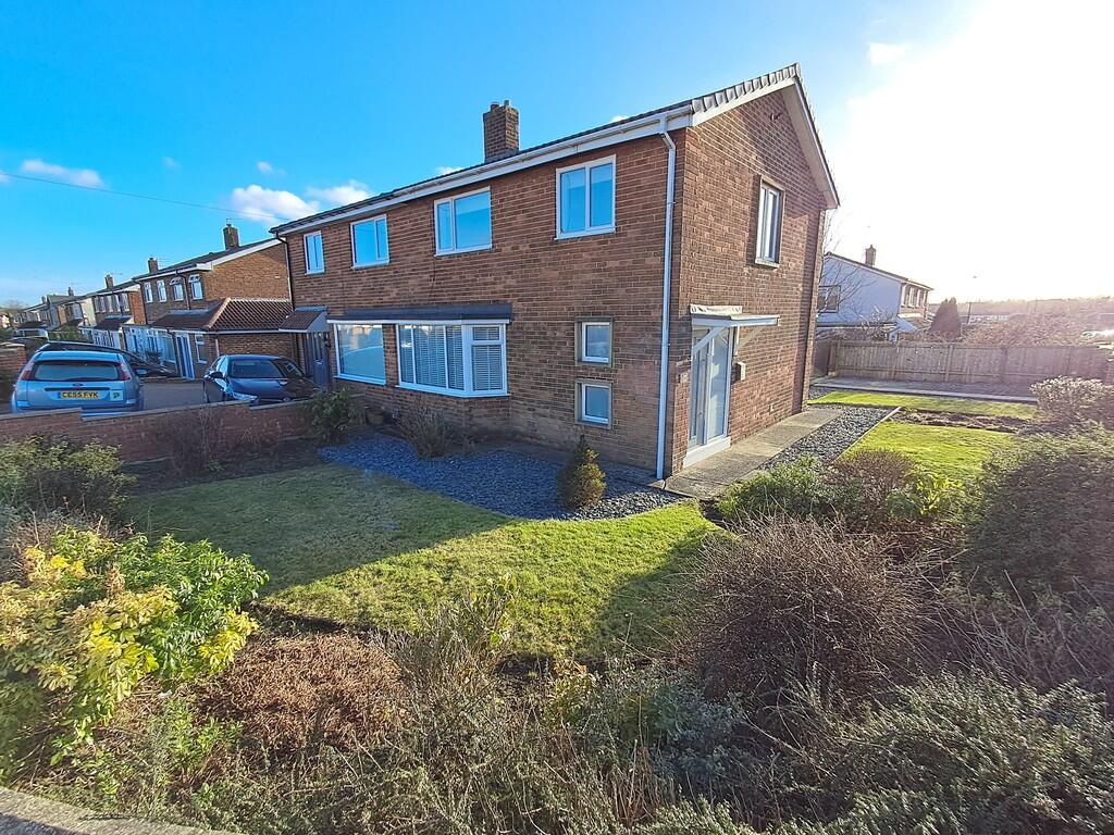 IMG-20250222-WA00...