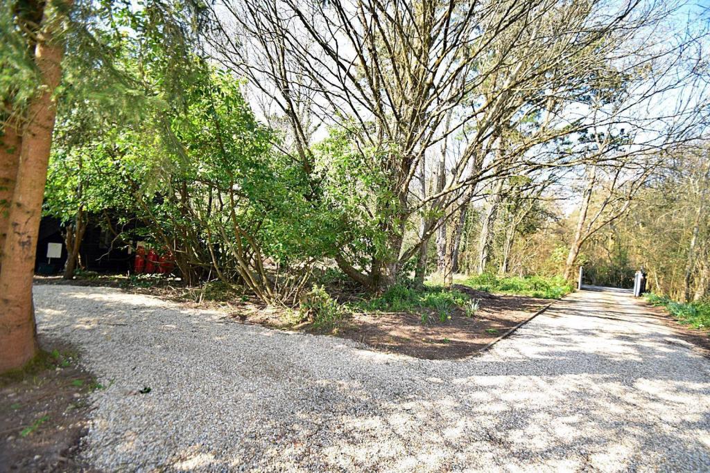 Driveway and access