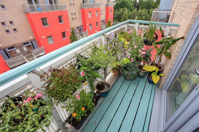 87 Cubitt Way - 9 T202408271416.jpg