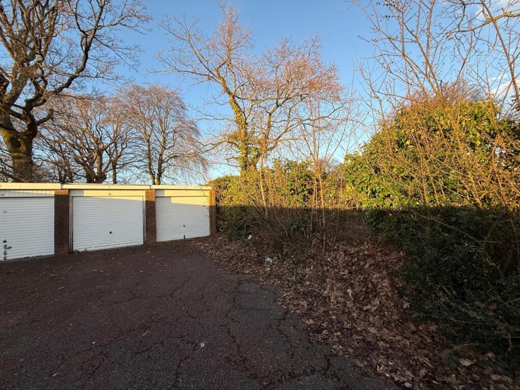 PHOTO-2025-03-01-10-45-24 5