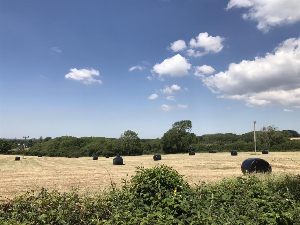 IMG_1303.JPEG