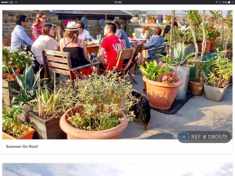 Sociable Large Roof Garden