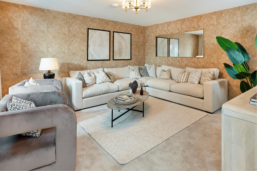 Show Home