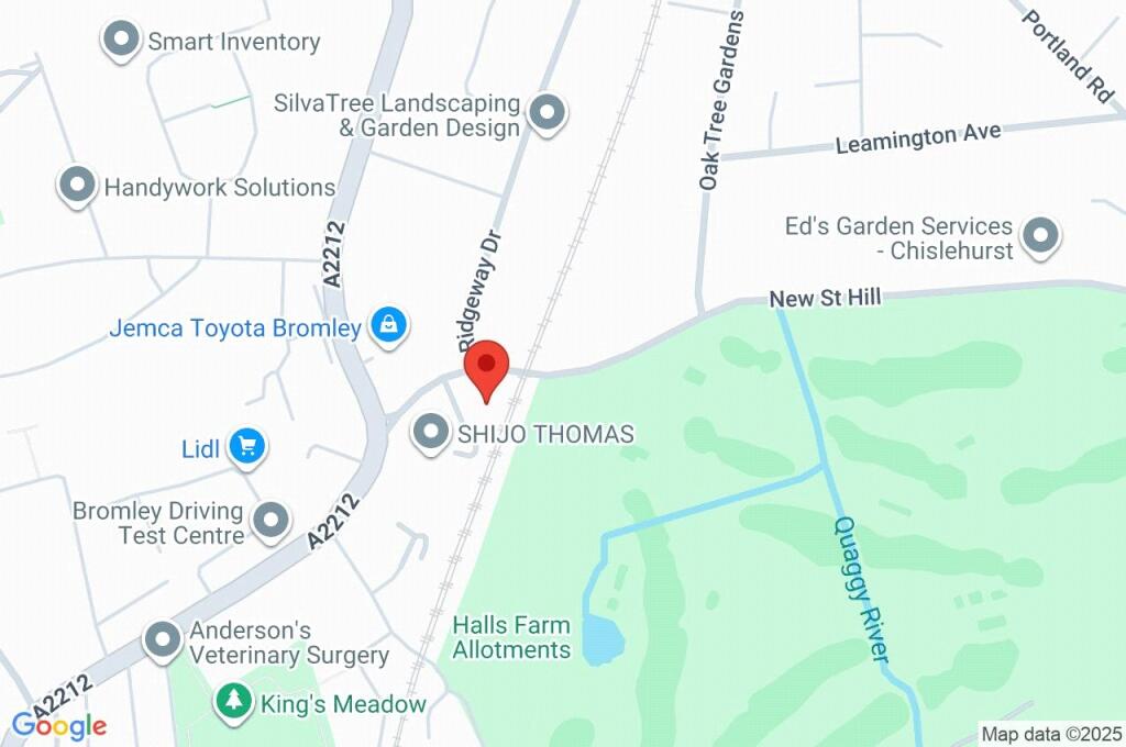 Google Maps Image