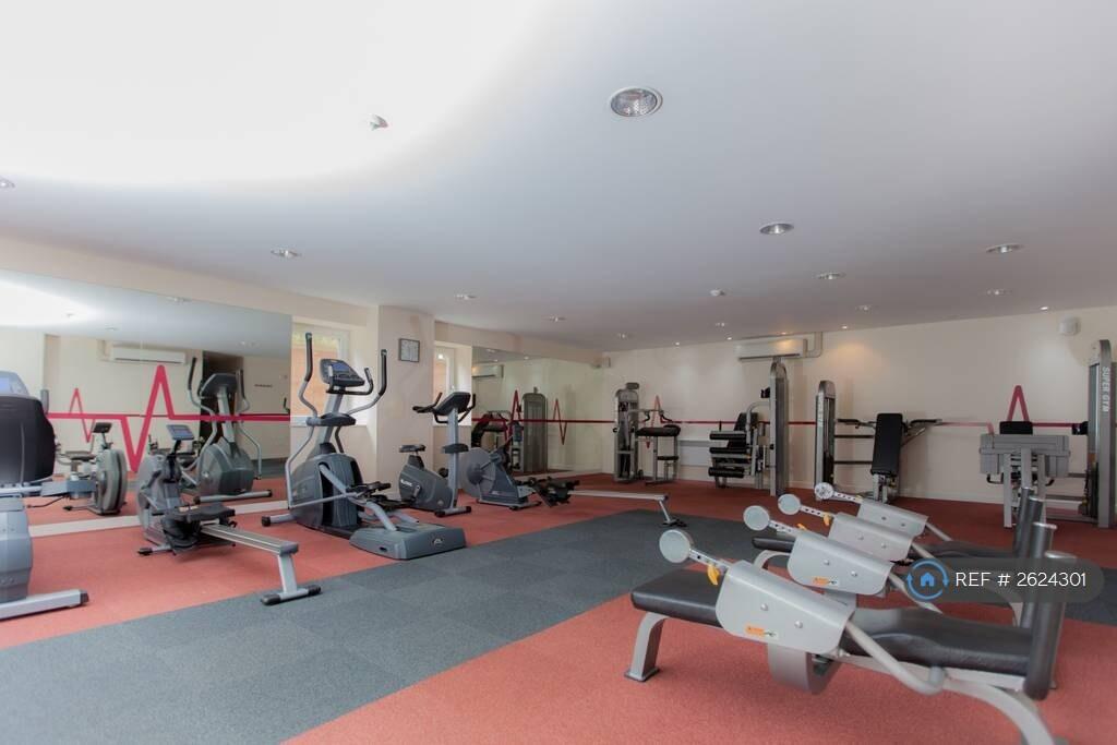 Gym 2
