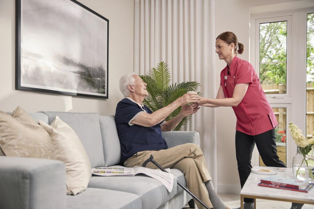 Domestic support and personal care available 