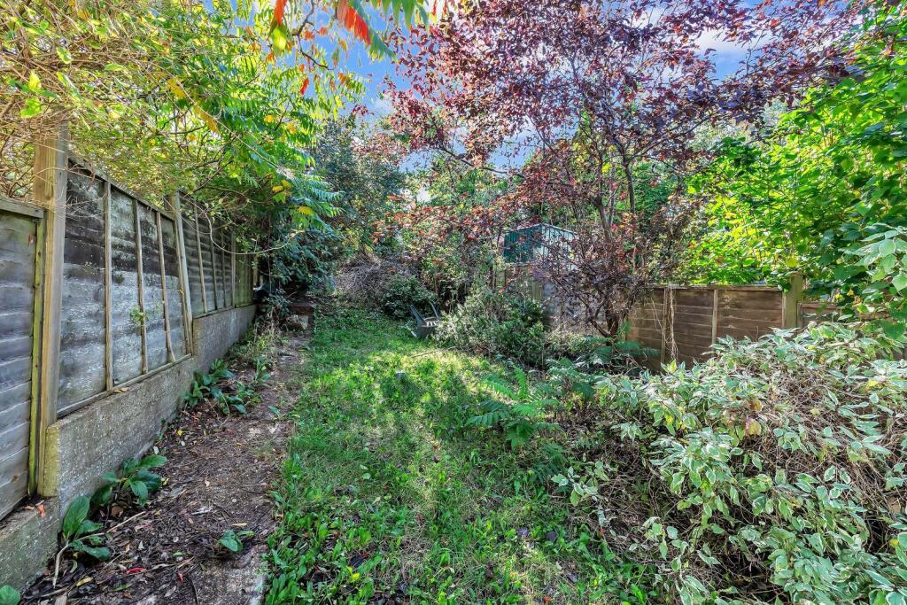 rear garden2.jpeg