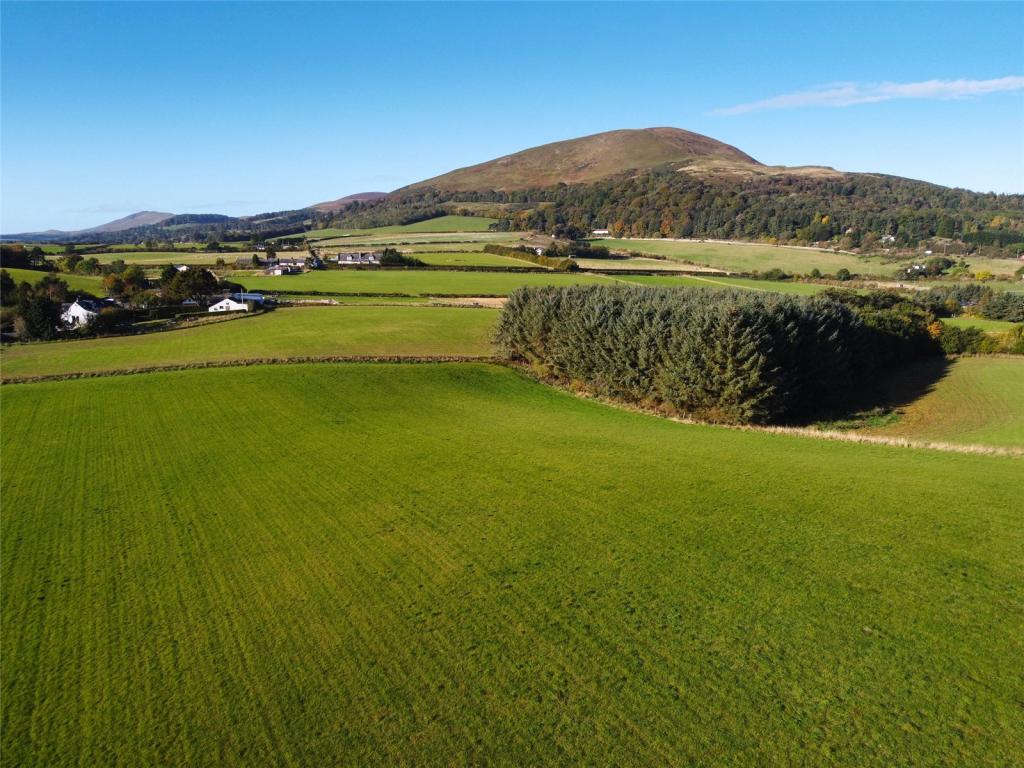 Aerial View Field