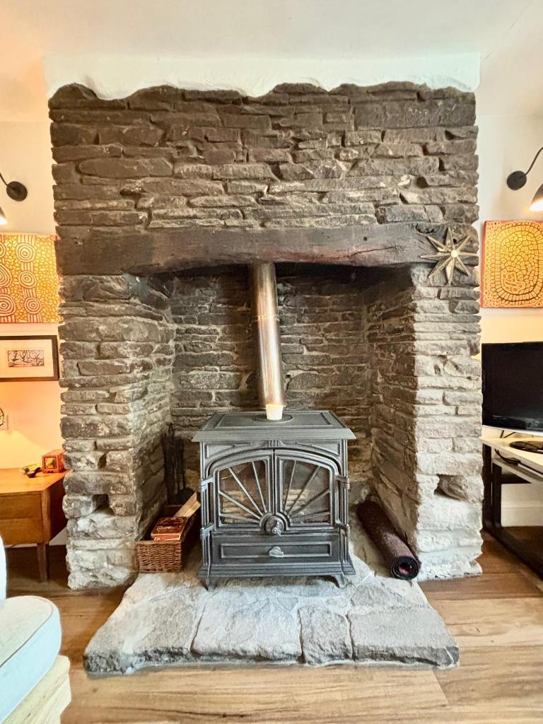 Feature Wood Burning Stove