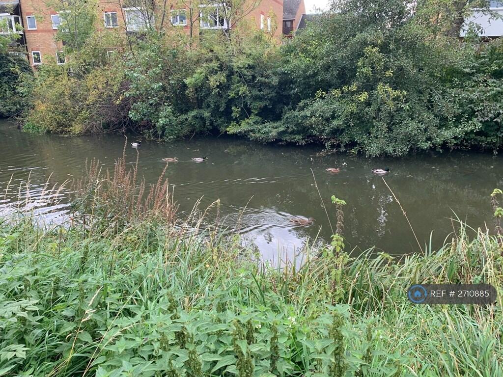 Balcony View Of The River 