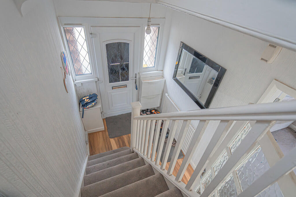 20251111-DSC07132...