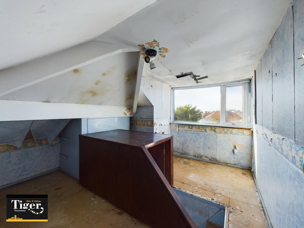 CAM03440G0-PR0137...