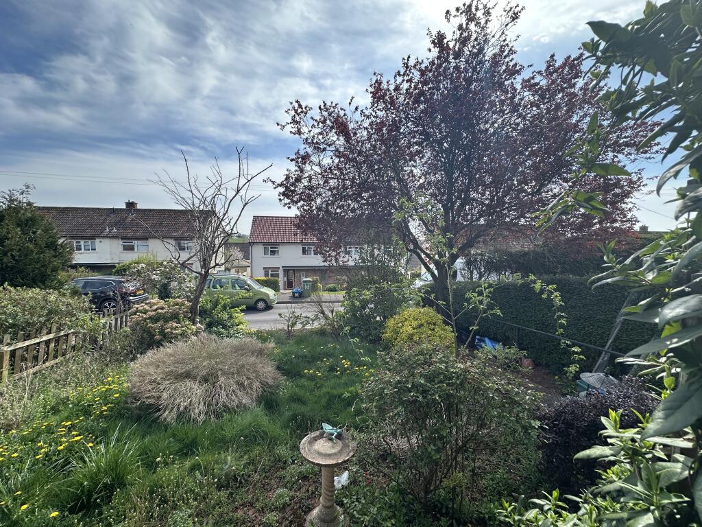 IMG 2037 T202504141603.jpg