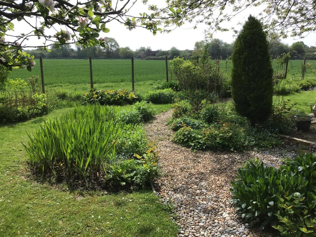 48 Brookmead new garden 2.jpg