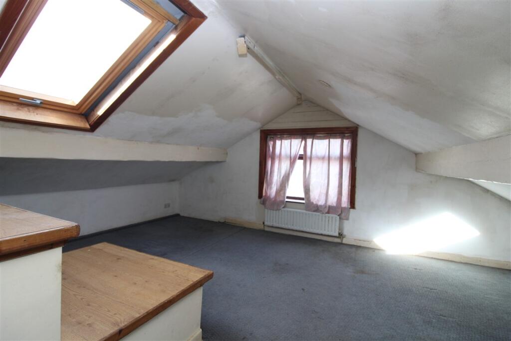 IMG 7093  Medium  T202510240907.jpg