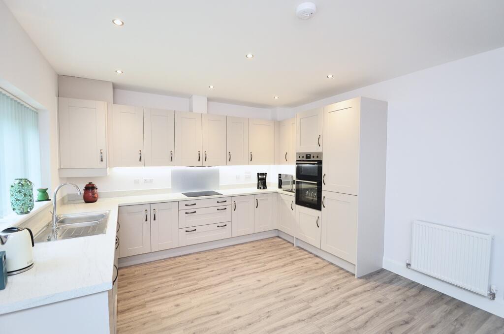Modern Kitchen