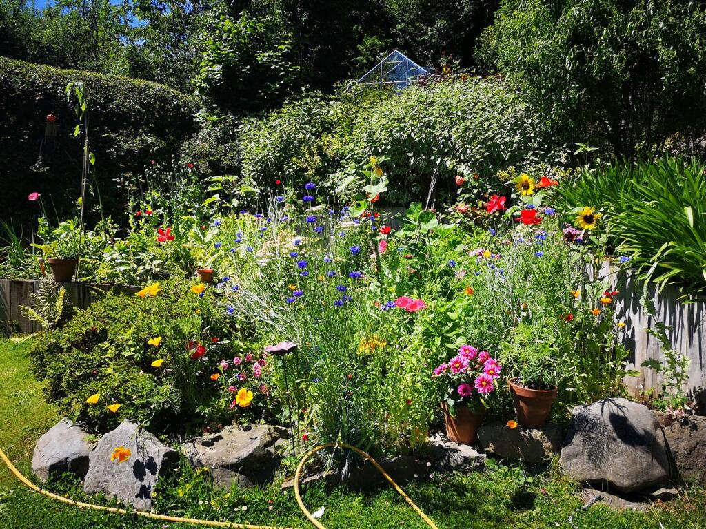 Garden 2.jpg