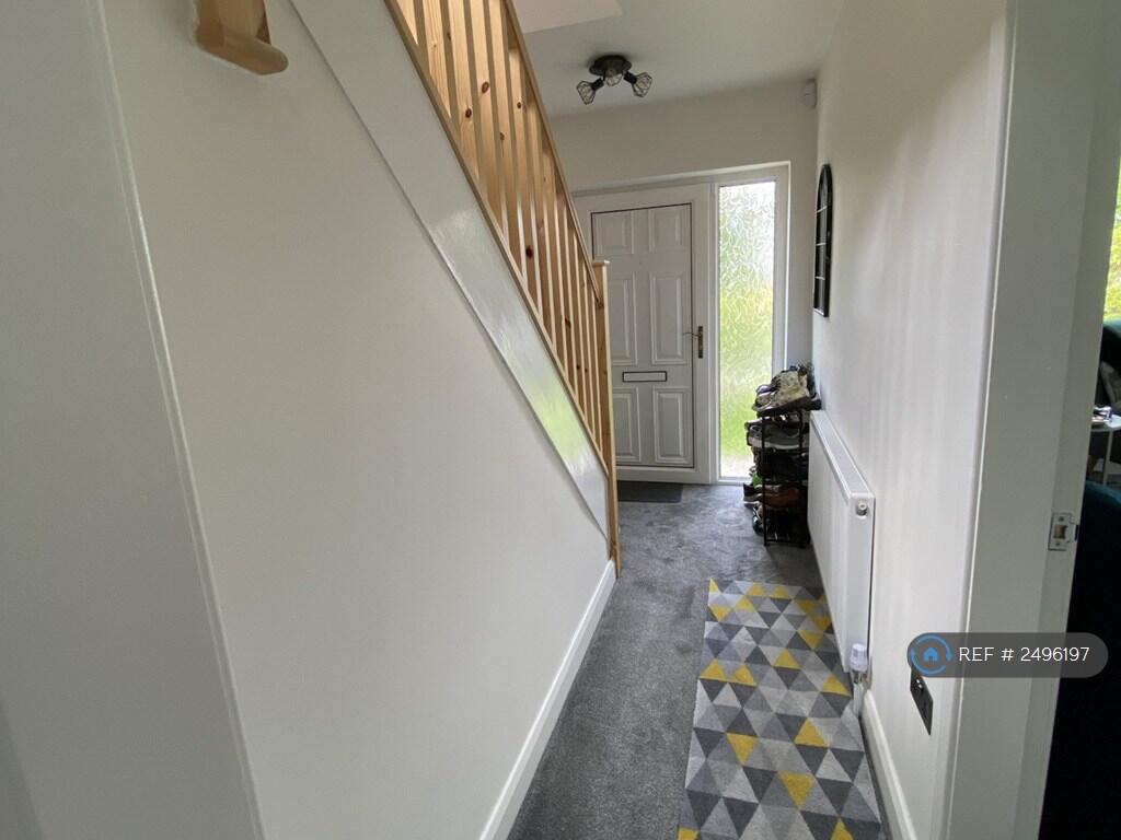 Downstairs Hallway