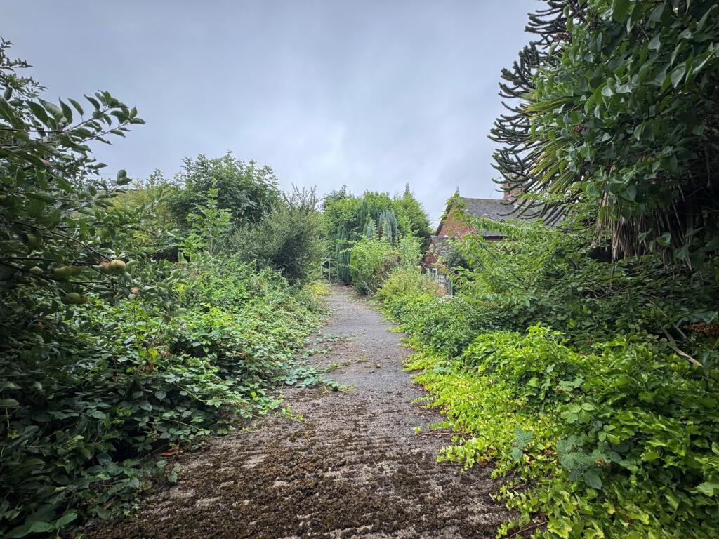Driveway