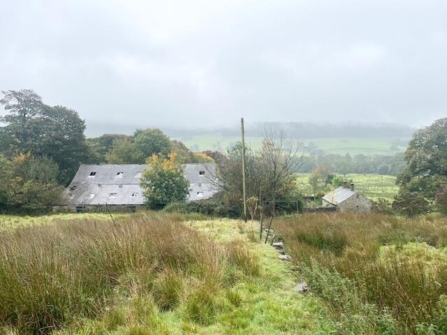 Image009 T202510101622.jpg