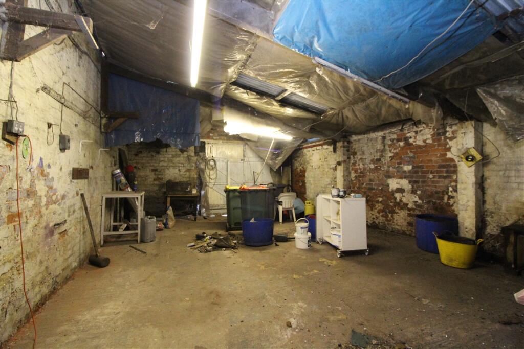 IMG 4913  Medium  T202504091055.jpg