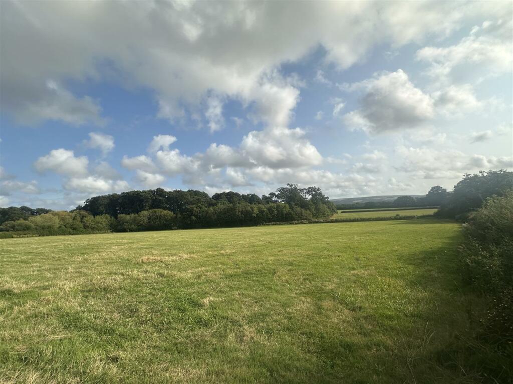 IMG_0306.jpeg