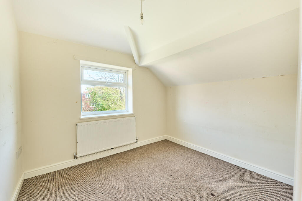 P1427761 HDR T202503271806.jpg