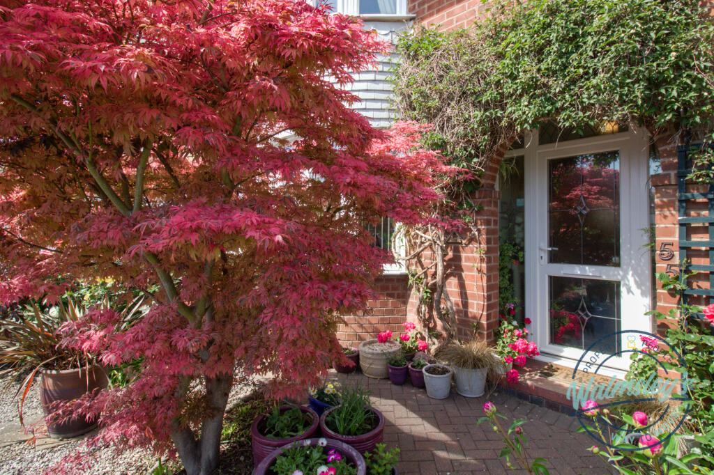 Private &amp; leafy entrance_1