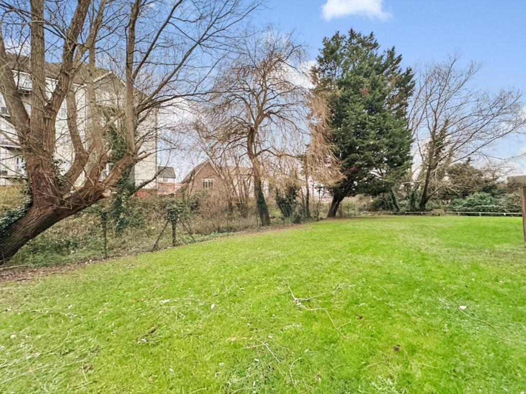 Trees-44618622.jpg