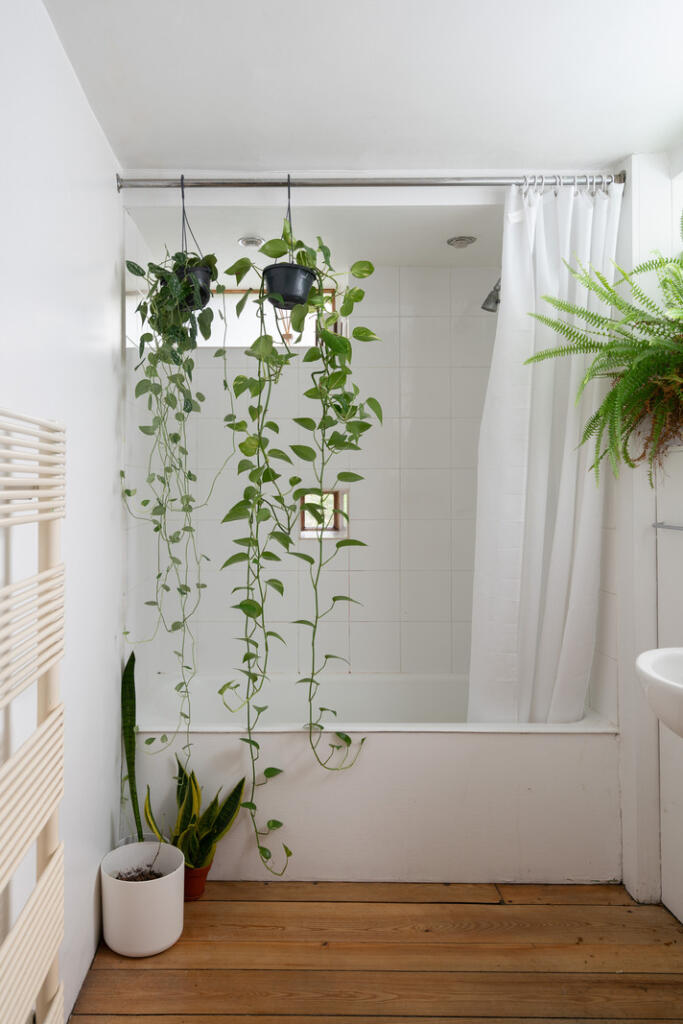 248958 - PRIORY-GROVE-2025-40.jpg