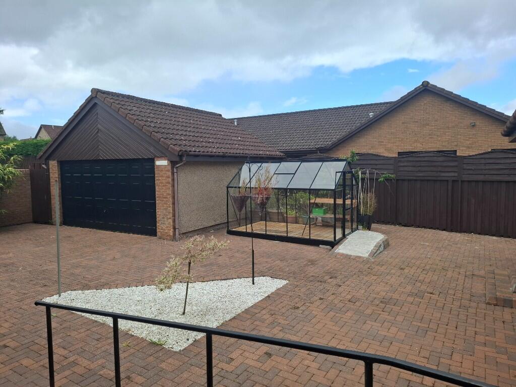 Back garden