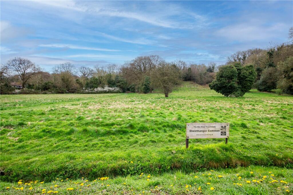 Sheethanger Common