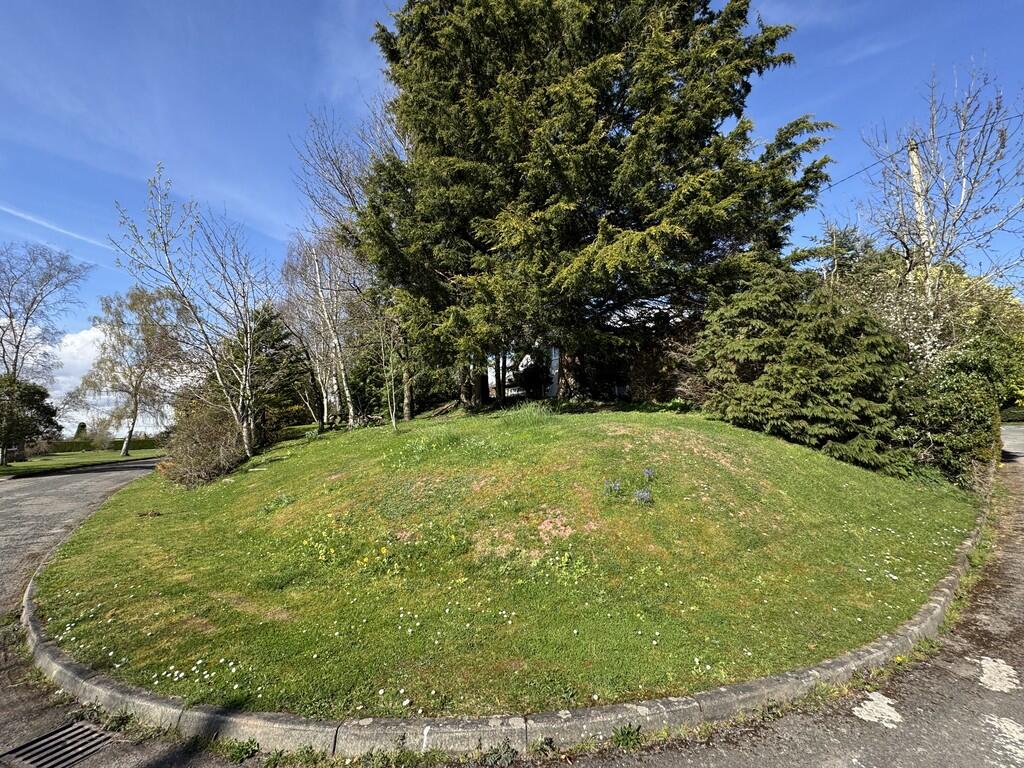 Woodland area fro...