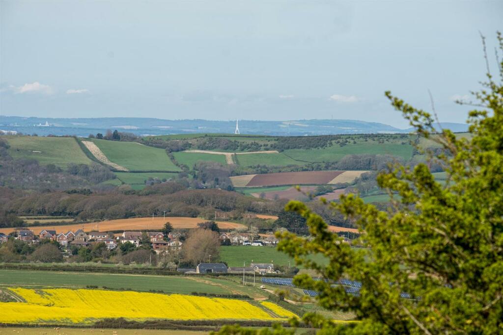Far Reaching Views