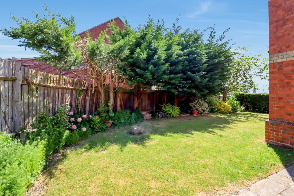 Back-Garden