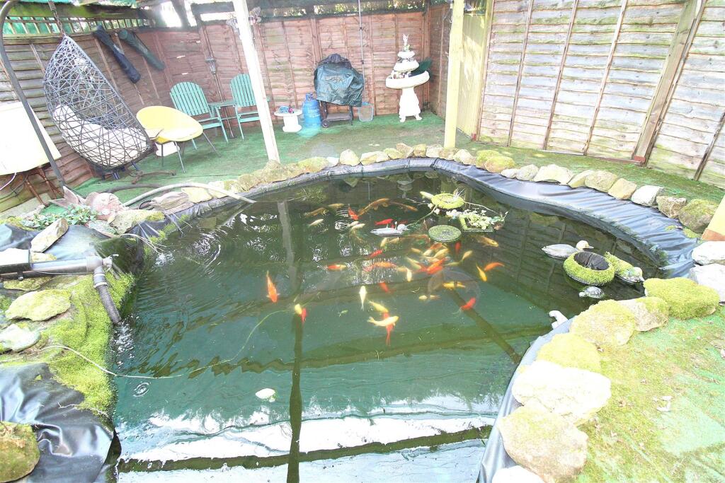 garden 1.3.JPG