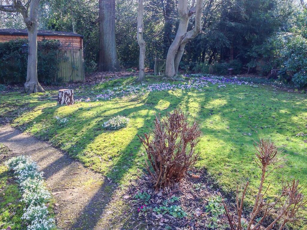 Bridge close garden 1.jpg