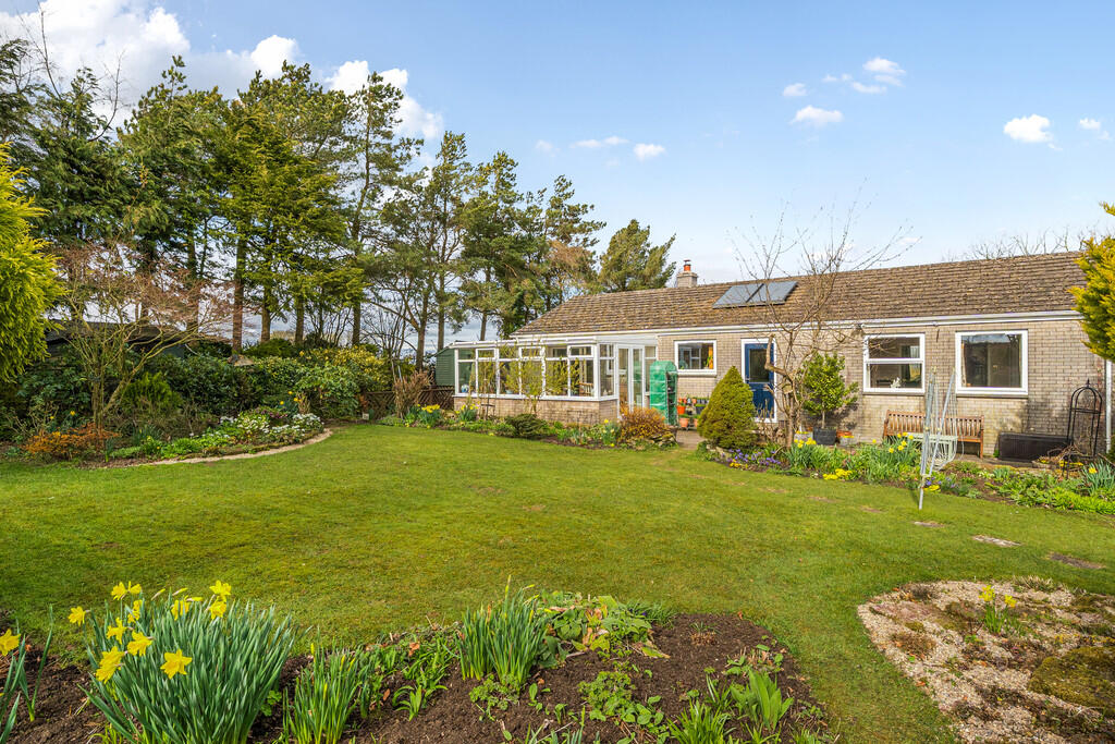 Rear Aspect and G...