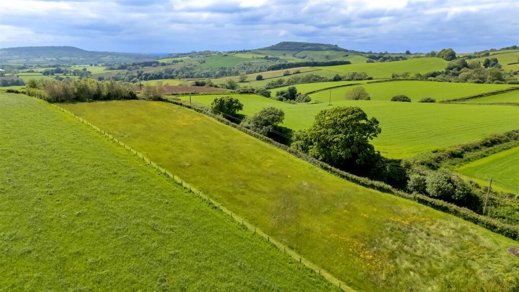 Ariel shot of paddock