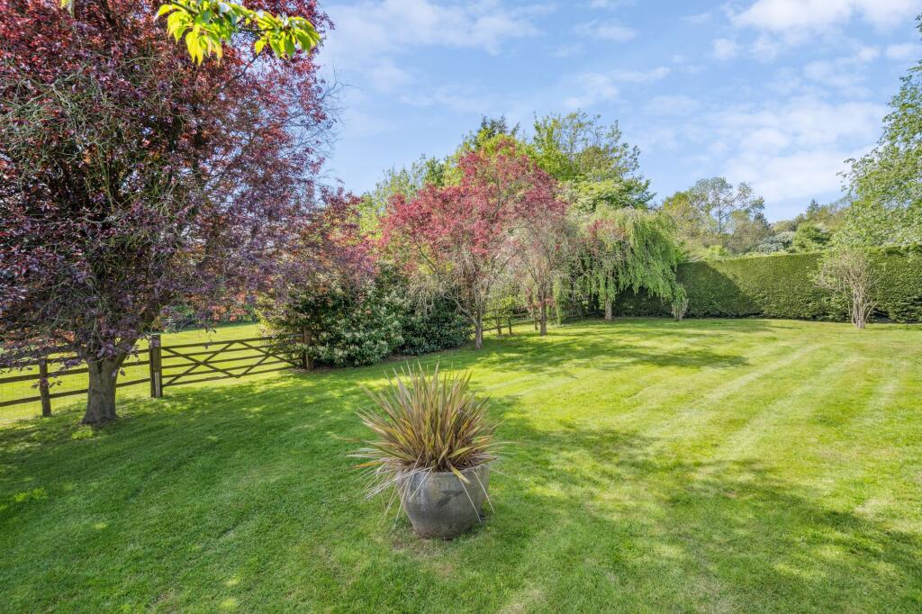 Garden (9)