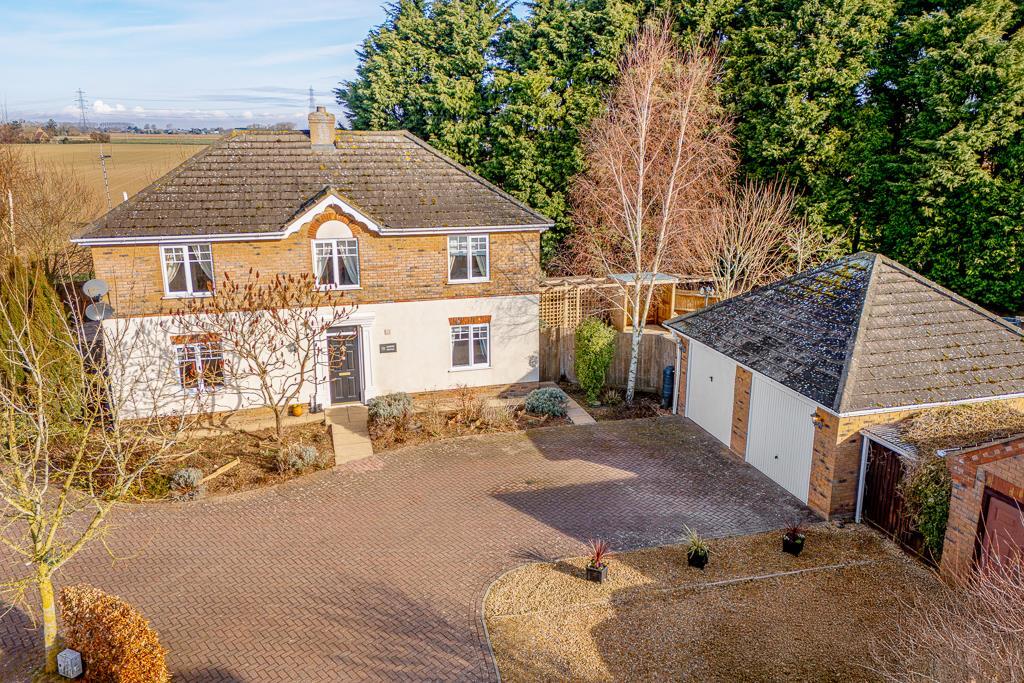 10 Tulip Fields (Whaplode)-1.jpg