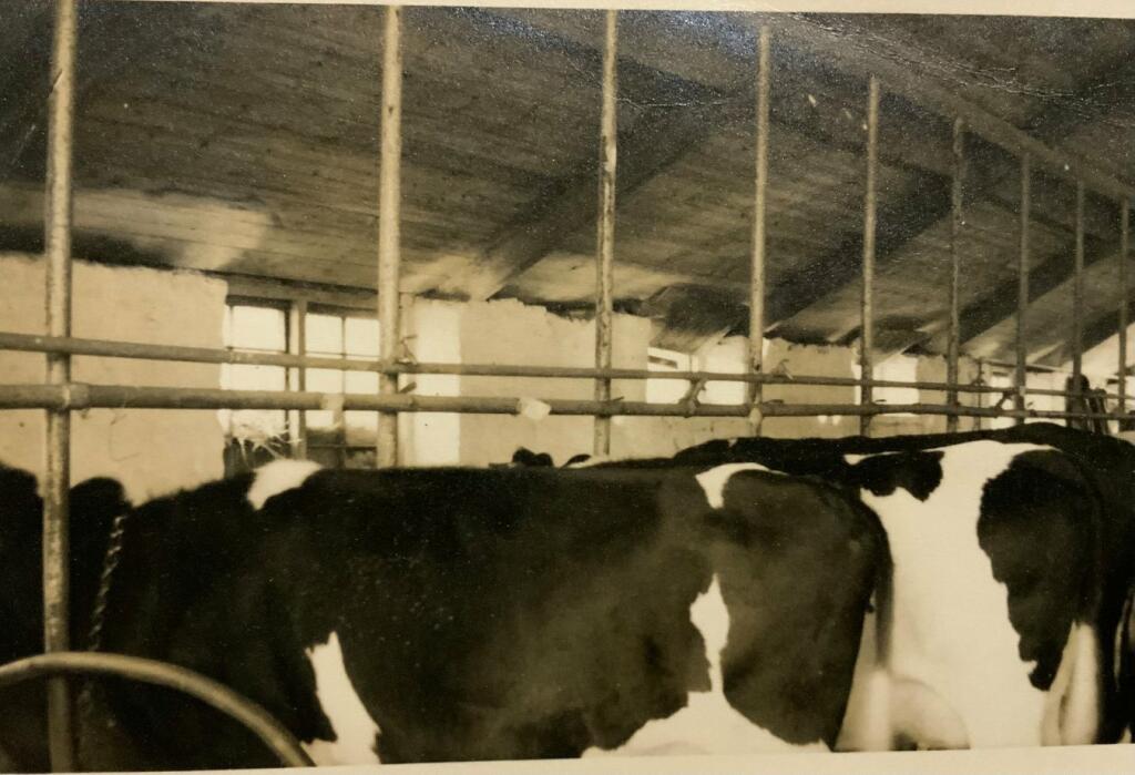 Old pictures of the 