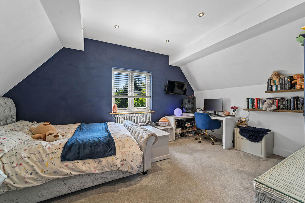 PT-FC(COL)-199Shr...