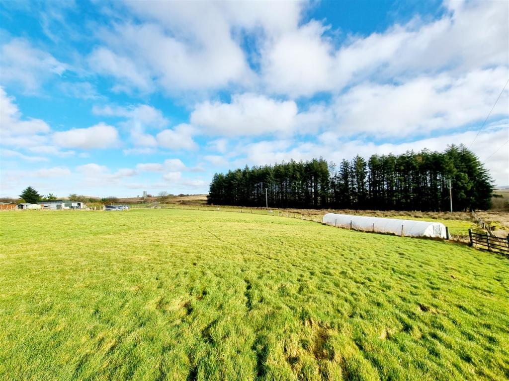 Top Field