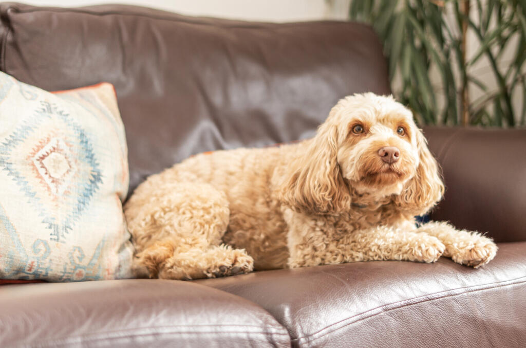 1348549-2-68b9801...