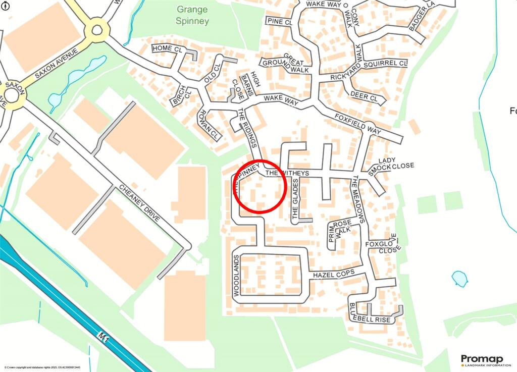 Street Map