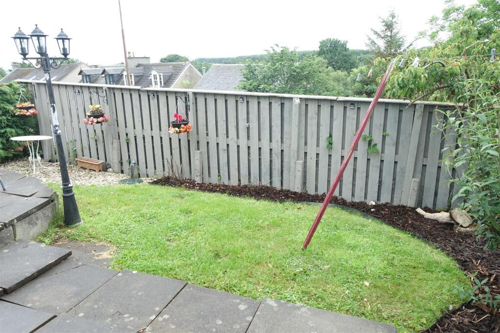 garden 3.JPG