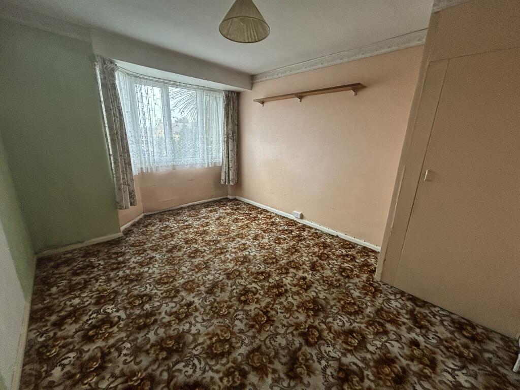 IMG 3455 T202502240910.jpeg