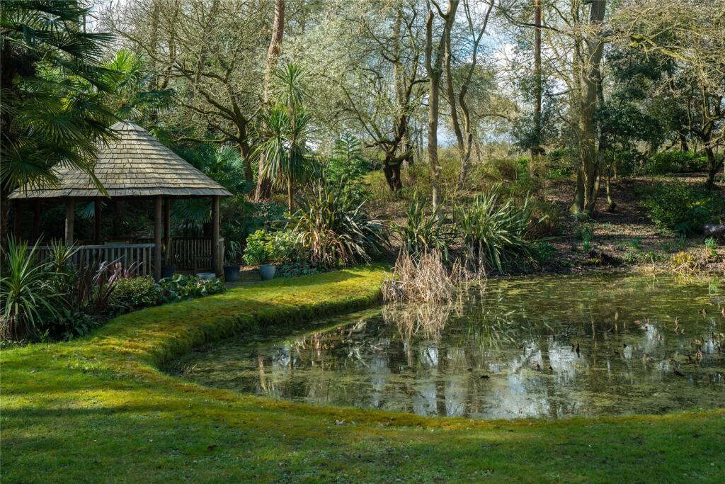 Pond